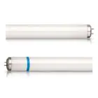 Philips TL-D Secura 18W - Blacklight | 60cm
